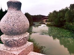 -金卉庄园
