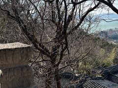 -云龙山