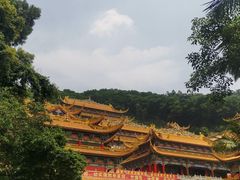 -东莞市大岭山森林公园