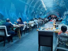 -涛·海底餐厅·美人鱼·自助餐·海底隧道(三亚海棠湾洲际度假酒店)