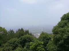 -旗山国家森林公园