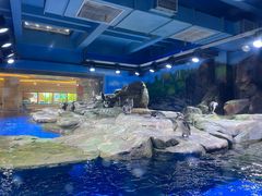 -上海海昌海洋公园