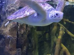 -欢乐海岸海洋奇梦馆