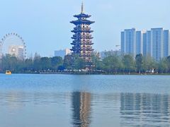 -洋湖国家湿地公园