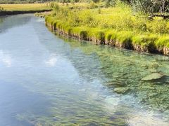 -稻城亚丁景区-冲古草甸