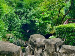 -晓港公园