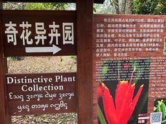 -中国科学院西双版纳热带植物园