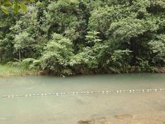 -广州白江湖森林公园