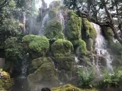 -Chom Cafe and Restaurant