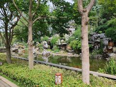 -红梅公园