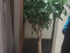-泓历皇朝酒店(东亭店)