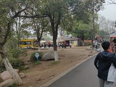 -合肥野生动物园