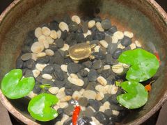 -曲水兰亭(北京四惠店)