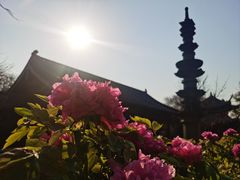-钱王祠