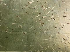 -咸宁万豪温泉谷度假区