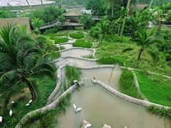 -新加坡飞禽公园