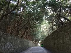 -普陀山风景区-佛顶山