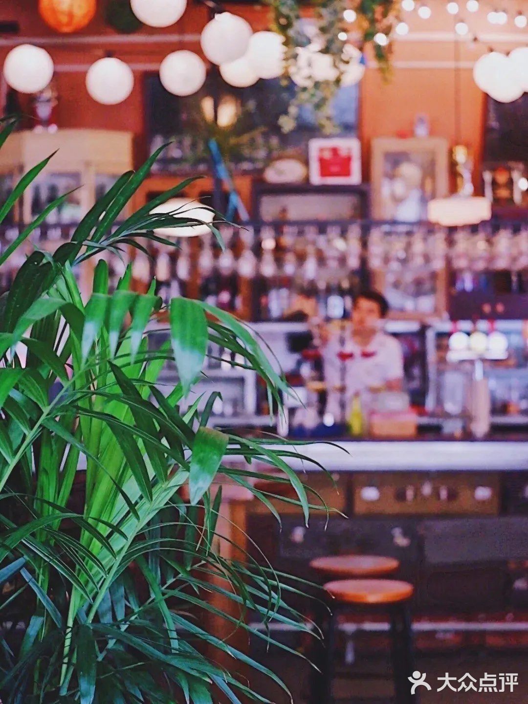 豪横‼️这棵马天尼树比Mojito还上头🍸