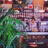 豪横‼️这棵马天尼树比Mojito还上头🍸
