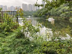 -重庆彩云湖湿地公园