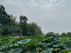 -云龙湖旅游景区