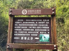 -青峰峡国家森林公园