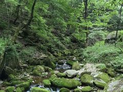 -陕西省红河谷森林公园