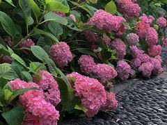 -常州古运河南大街文化旅游区-人民公园