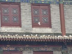 -西安大兴善寺