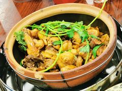 -华仔土鸡店(南洲分店)