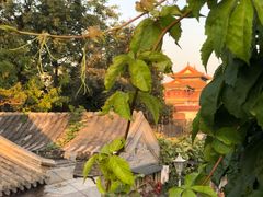 -Sirena海妖日咖夜酒