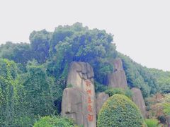 -新洲生态园