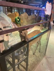 -酷嗒动物文化乐园(cutezoo西溪乐天城店)