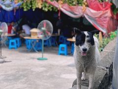 -人和水上飘(第一家店)