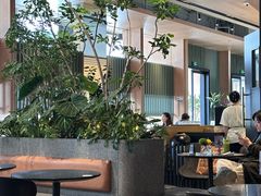 -gaga(深圳福田星河COCO Park店)