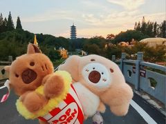-宜兴龙背山森林公园