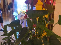 -春晖园度假酒店温泉