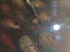 -鸿运兔·手撕烤兔(天府广场店)