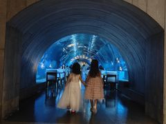 -涛·海底餐厅·美人鱼·自助餐·海底隧道(三亚海棠湾洲际度假酒店)
