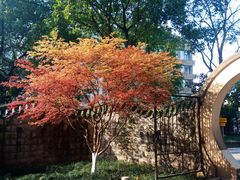 -鹅岭公园瞰胜楼