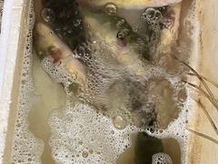 -长顺河豚馆(江洲东路)