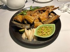 -青叶202都市餐厅(迪诺水镇店)