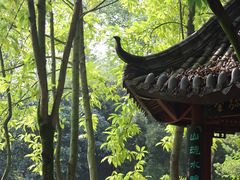 -龙头寺公园