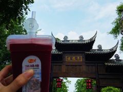 -黄龙溪古镇