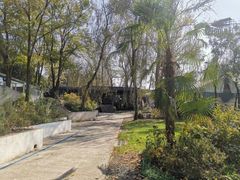 -思念果岭湖畔花房餐厅