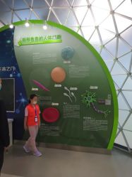 -北京科学中心儿童乐园