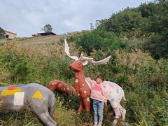 -南戴河国际娱乐中心