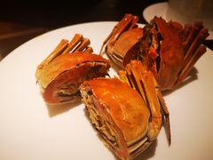 -甄御•海鲜新青岛菜(麦岛店)