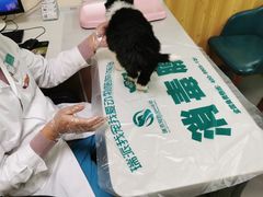 -瑞派宠物医院·24h·骨外科·皮肤科·全科宠物医疗转诊中心(沈阳浑南院)