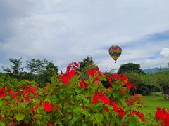 -中国科学院西双版纳热带植物园